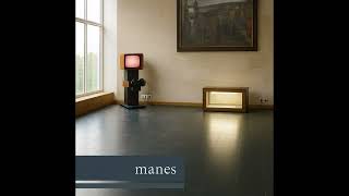 Manes - Funeral Home