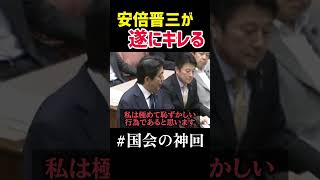 【神回】安倍晋三が人気な理由はこれです。【国会 ニュース 雑学 生配信 論戦 自民党】
