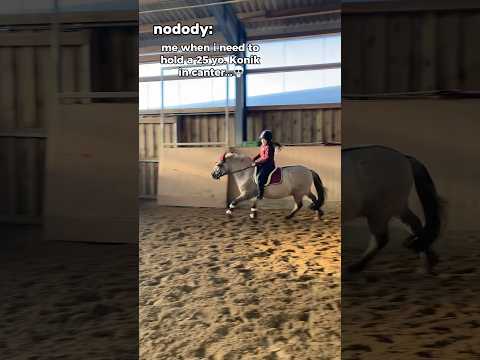 😭🙏🏼@Y_equestrian #viralshort #fyp #trending #viralshorts #fyp #konik