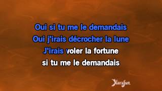 Karaoké L'hymne à l'Amour (Live Bercy 95) - Johnny Hallyday *