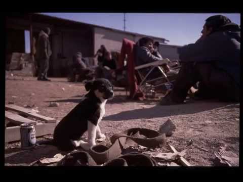 bze slideshow punk-tekno