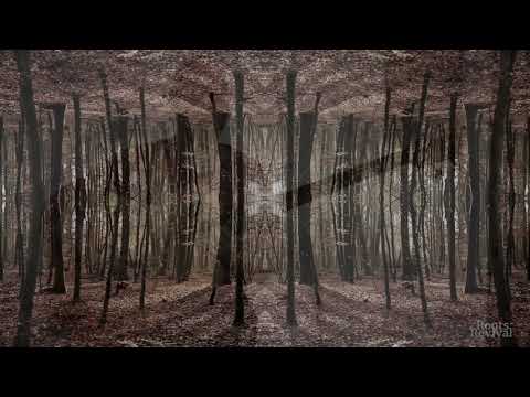 Jóhann Gunnarsson  - Katsüra - Acoustic bass - "Pain, Peace, Patience" Collection