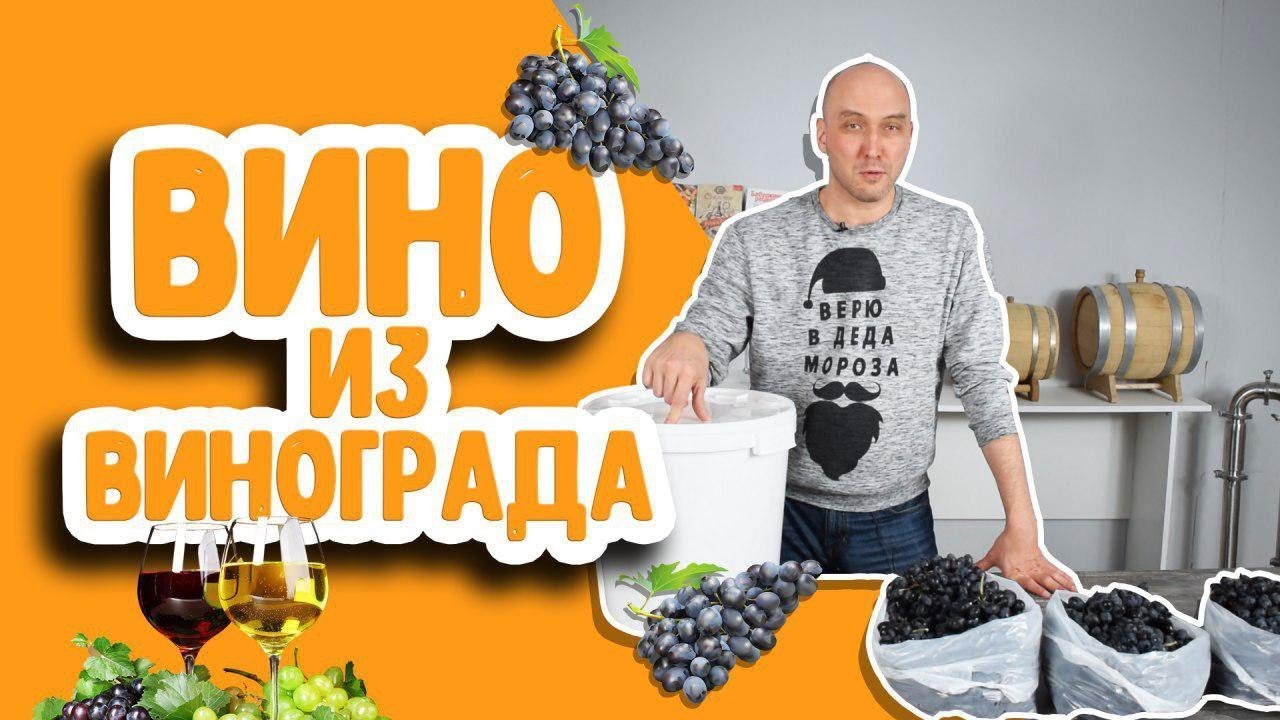 Домашнее виноградное вино