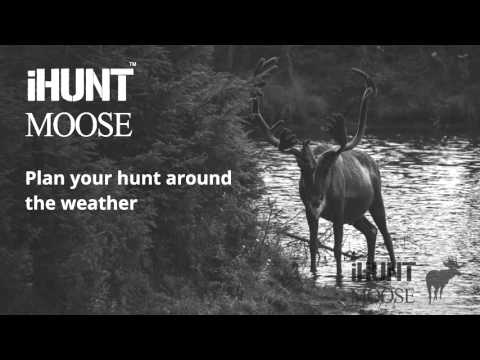 iHUNT Calls Moose Video
