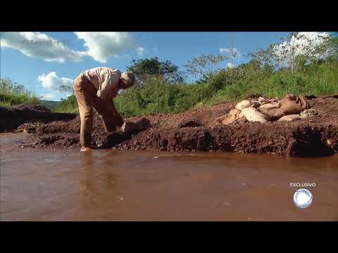 Conheça o idoso que até hoje vive à procura de ouro em Serra Pelada