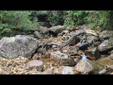 Caminando de Barreta a San Roquito #Barreta #Ola #cordillera #montana #cocle #panamá 