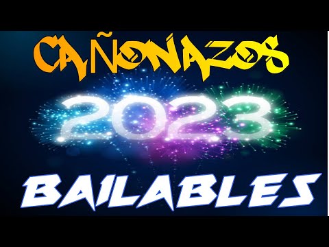 Reventón Bailable de Fin de Año, 2023 Mezclas Fiesteras  @LuiguiBetoDj   🎧♬♪♫