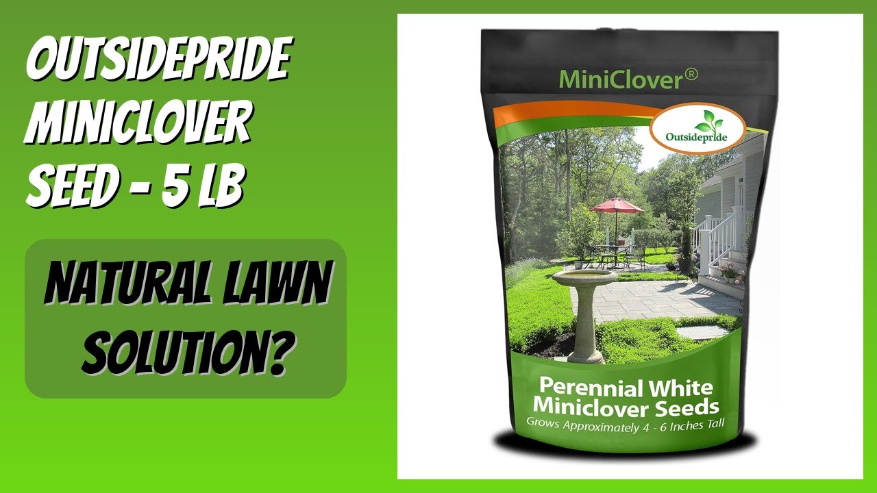REVIEW (2026): Outsidepride MiniClover Seed - 5 lb. Features