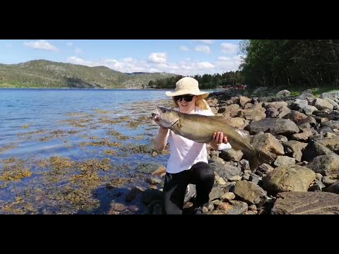 Big Pollock caught on the Savage Gear Sandeel V2 Khaki color 22 grams