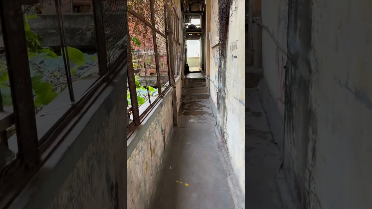 YouTube Short thumbnail