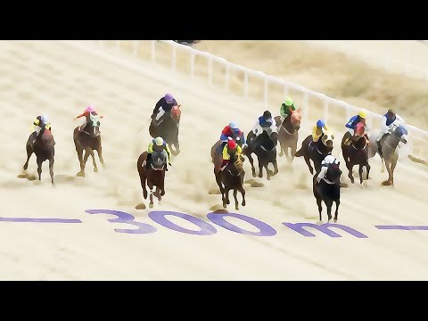 10/3-(금)-손석범-승부93.2배/메인15+14배/다적중+중배당/싹다[가야할마필]또,복병/또,터져..!!