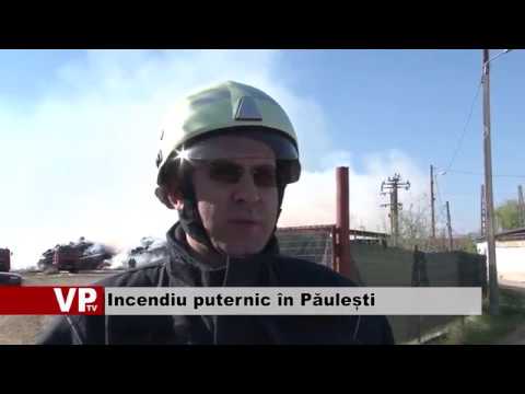 Incendiu puternic în Păulești