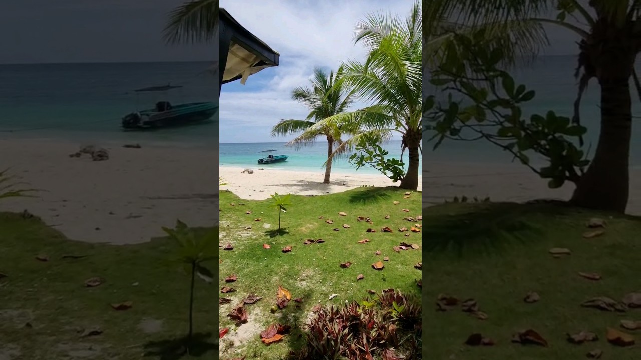 YouTube Short thumbnail