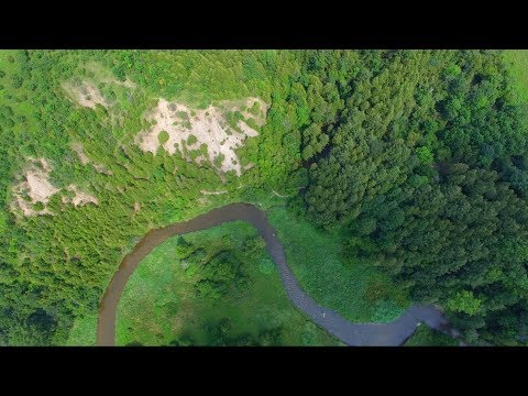 Beautiful Drone Flight Over Forest with Pink Floyd Sorrow (solo) 4K UHD
