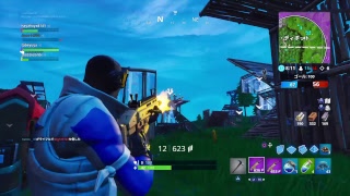 Ps4 実況放送  初見歓迎？！　Fortnite 敵陣突撃！！　夜中にひっそり