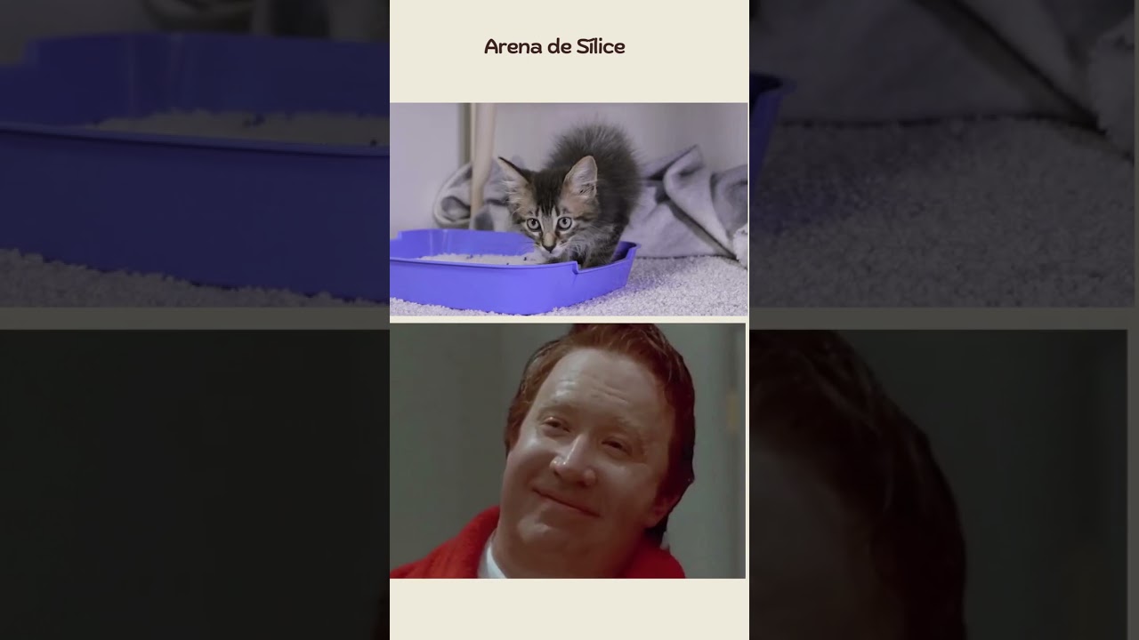 Watch Arena de sílice para gatos - Tipos de arena ( parte 4) #arenaparagatos #gatos Now Arena de sílice para gatos - Tipos de arena ( parte 4) #arenaparagatos #gatos