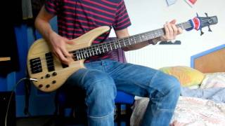 Red Hot Chili Peppers - Shallow Be Thy Game [Bass Cover]