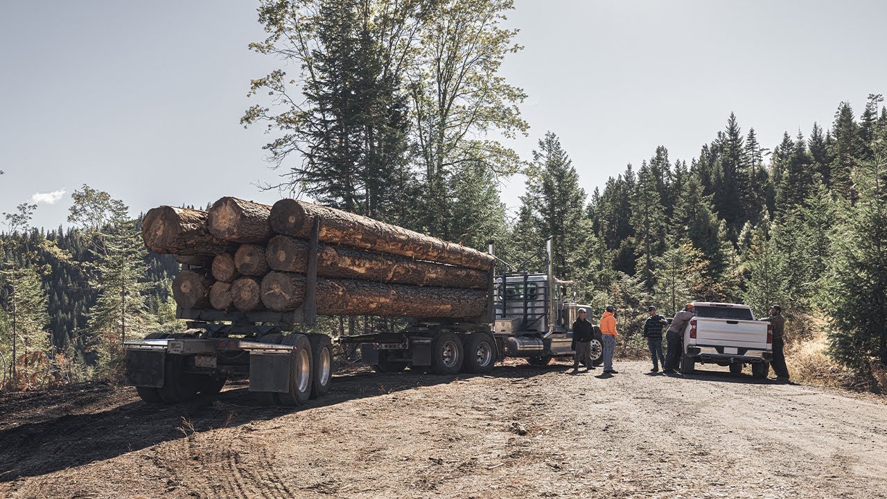 Titans of Timber—Logger