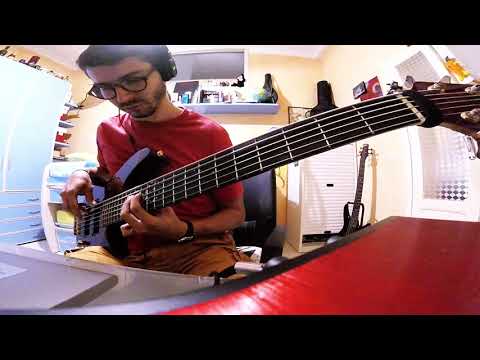 Dream Theater - Home ( bass cover )