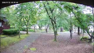 越路もみじ園
