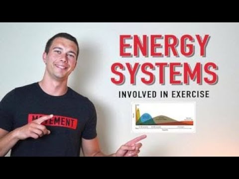CSCS Chapter 3 Bioenergetics | Energy Systems During Exercise and How ATP is Made