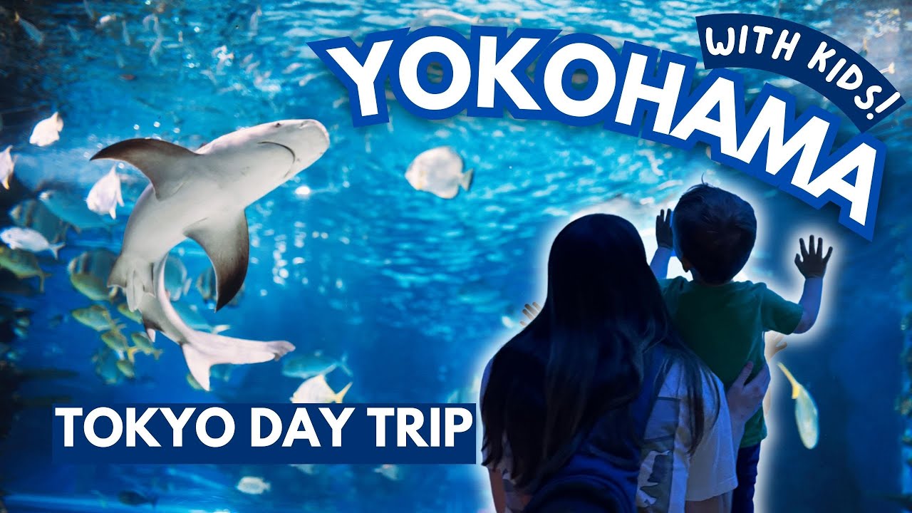 Join a family as they embark on an exciting exploration of Hakkeijima Sea Paradise.