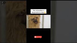 This skinwalker is disguised as a dog.😳 #shorts #justmillionviewsneeded