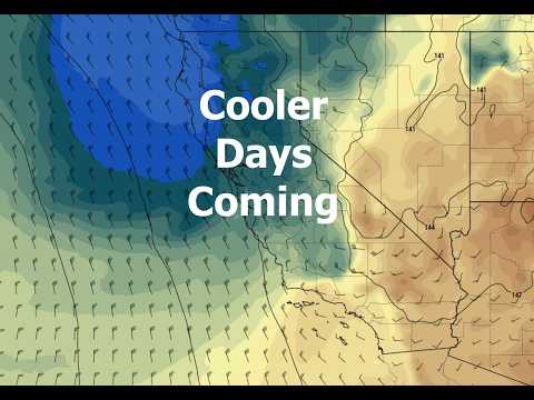 В Калифорнии ожидается похолодание. Дождь? Утренний брифинг 3 марта 2026 года.