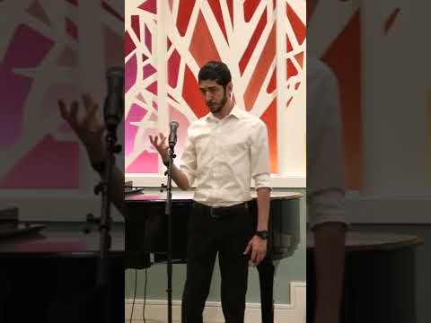 Kiavash Teymourian  - Can't Help Falling in Love