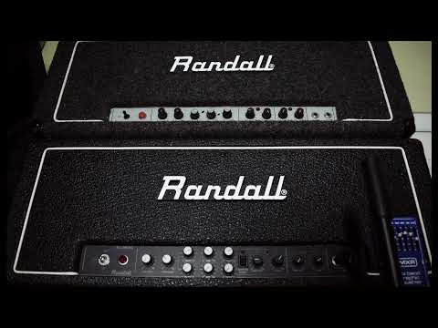 Randall RG200ES VS Randall RG100ES