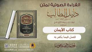 صورة فصل فيما يكفر به