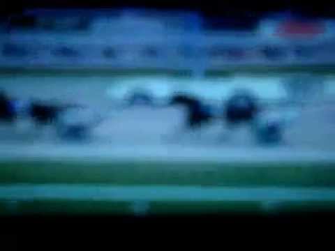 Nat Ray Trot 2007 -Corleone Kosmos