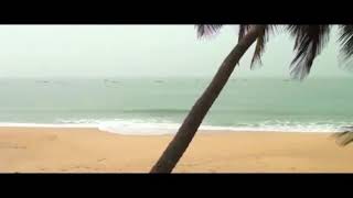 preview picture of video 'The great economic impact of Lacampagne Tropicana Beach Resort...'