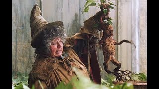 Орущая Мандрагора из фильма