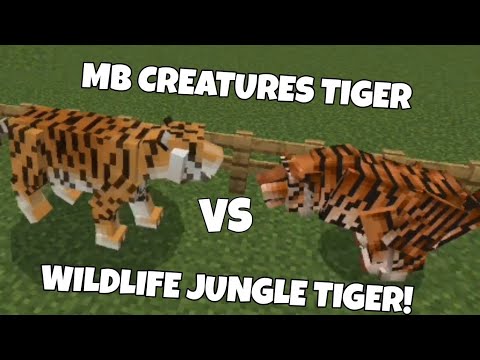 MB CREATURES TIGER VS WILDLIFE JUNGLE TIGER (Minecraft Mob Battle)