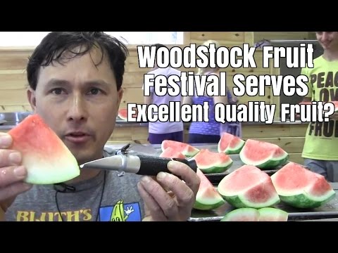 Does the Woodstock Fruit Festival Serve Excellent Quality Fruit to Attendees ?