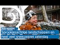 Zo zag de sneeuw in de regio Rijnmond eruit