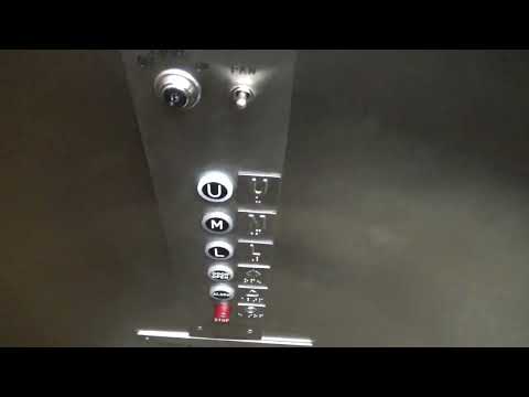 Obnoxious Passing Chime! Vintage Colley Hydraulic Elevator @ Worth Public Library - Worth, IL