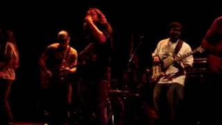 Orange Grove @ paradiso, white daisies