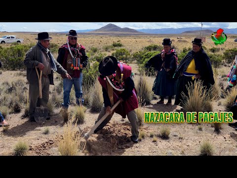 NAZACARA DE PACAJES  TALLER DE FORTALECIMIENTO Y ASISTENCIA TÉCNICA