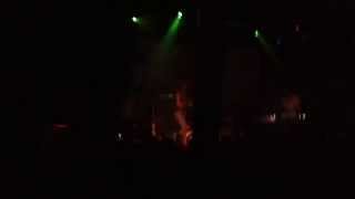 Elliphant "Save The Grey" Live in Dallas