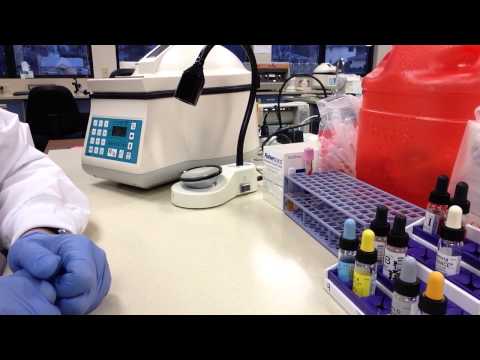 Blood Bank - 3% RBC Suspension