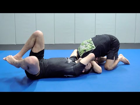 Attacking the Back: Seatbelt Flip to Merkle Flip