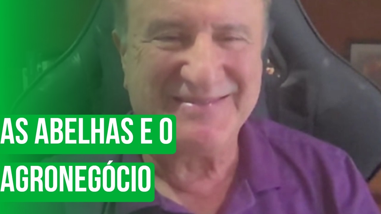 As abelhas e o agronegócio