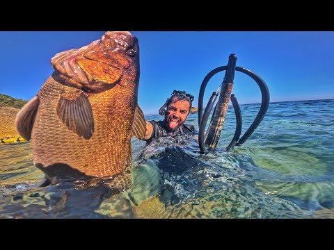 Spearfishing | Catch & Cook