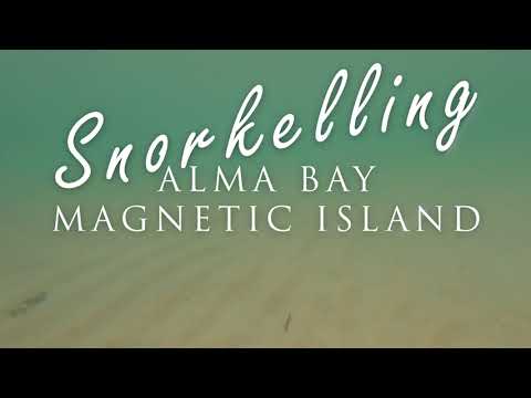 Snorkeling at Alma Bay, Magnetic Island