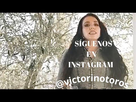 Victorino Toros en Instagram ¡no te lo pierdas! – [SÍGUENOS]