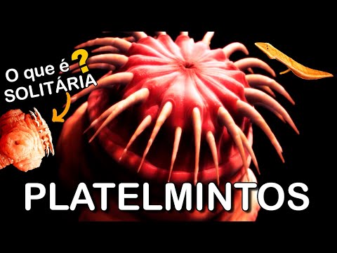 Flatworms: characteristics, examples and incredible curiosities!