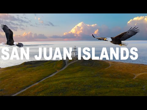 San Juan Island Travel Guide: Top Things To See And Do