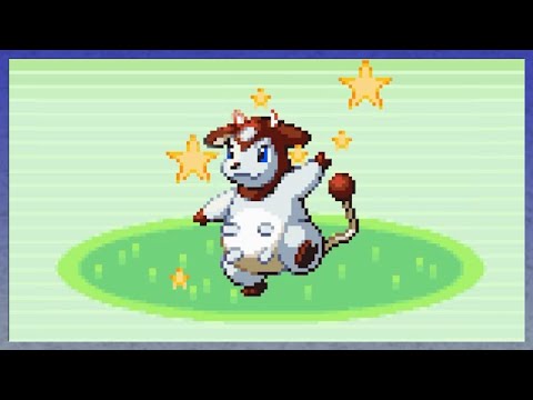 [Live] Shiny Miltank after 6,192 REs in Pokémon Emerald Win/Fail? SafariWeek2020